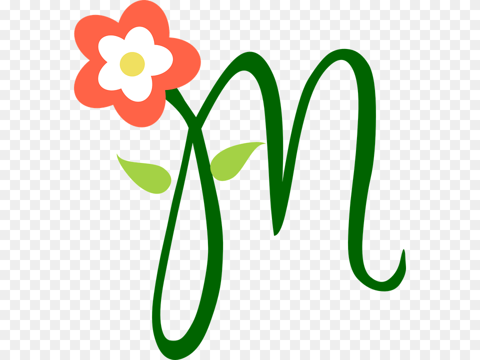 Letter Flower, Plant, Green, Petal Free Png Download