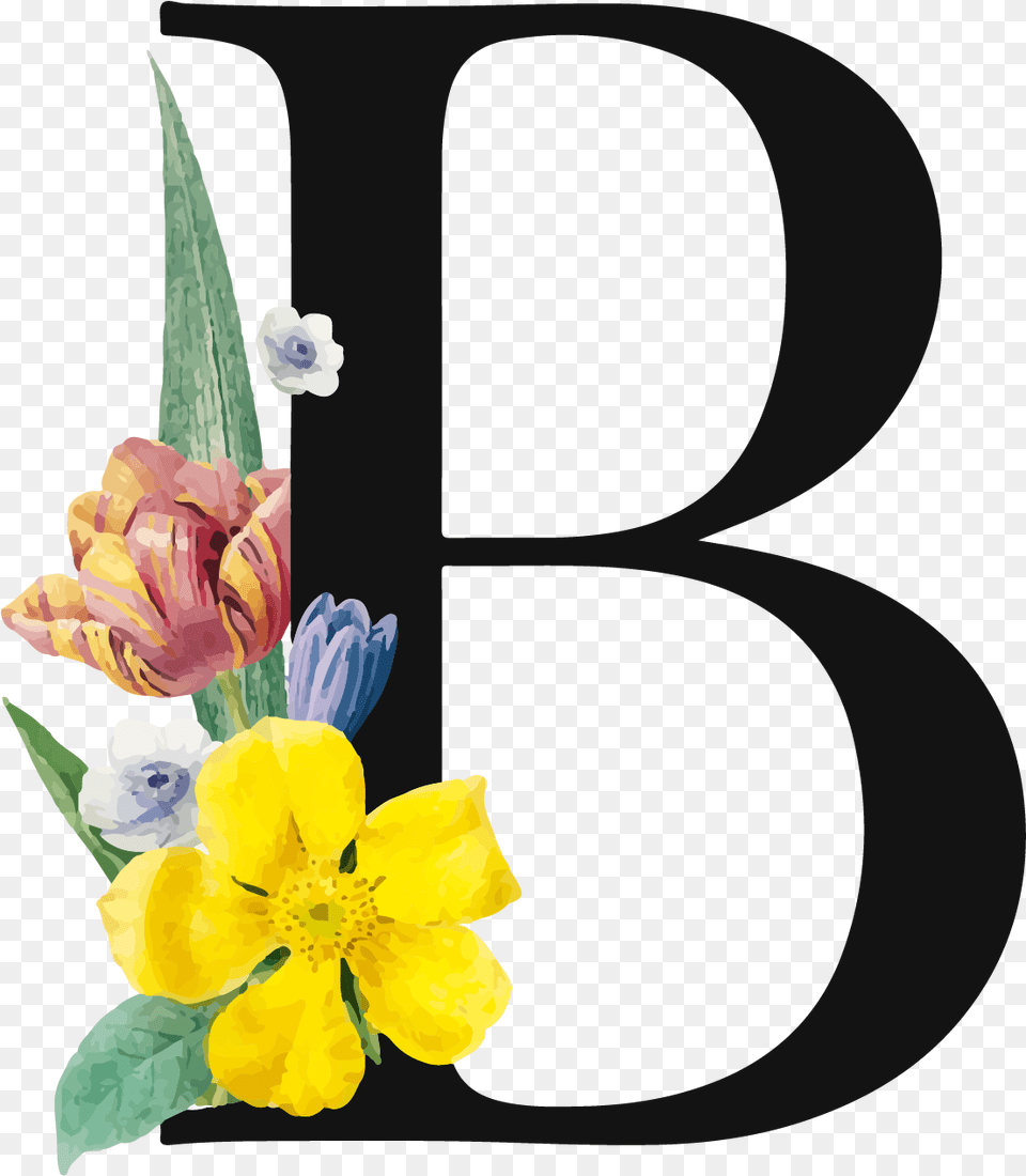 Letter B, Plant, Petal, Flower, Anemone Png Image