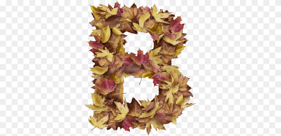 Letter B From Dry Leaves Artificial Flower, Leaf, Plant, Tree, Food Free Transparent Png