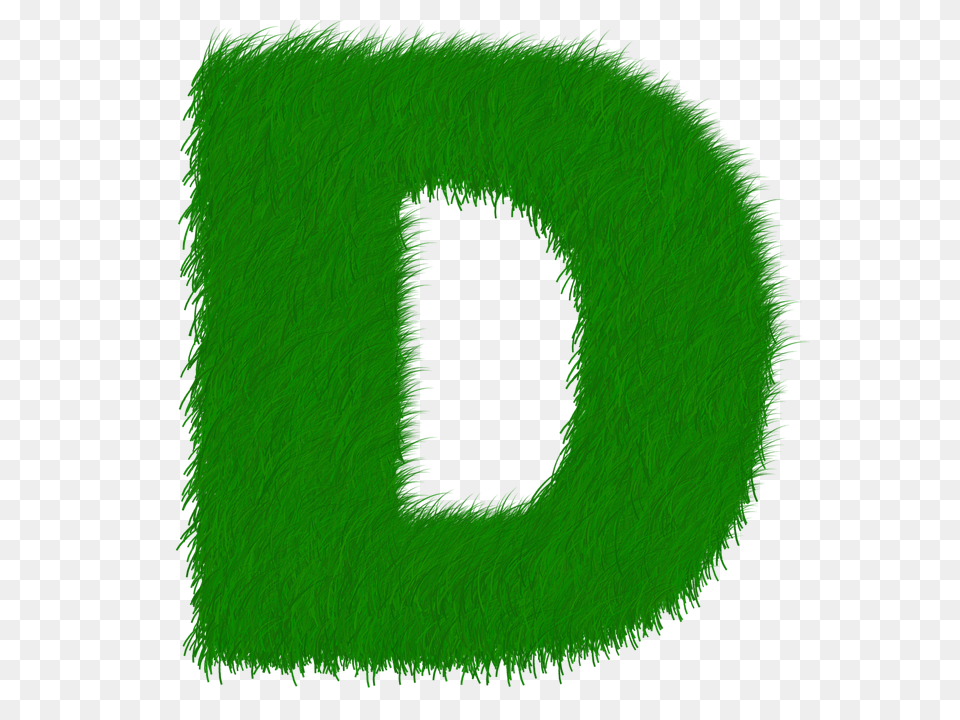 Letter D, Green, Home Decor, Plant, Text Free Png Download