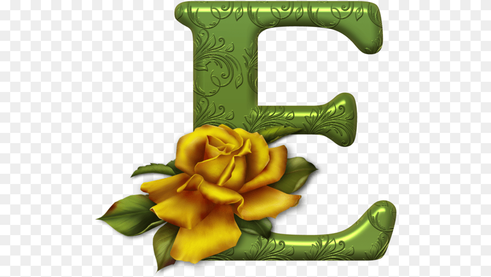Letter E Free Download Letter Z, Flower, Plant, Rose, Symbol Png Image