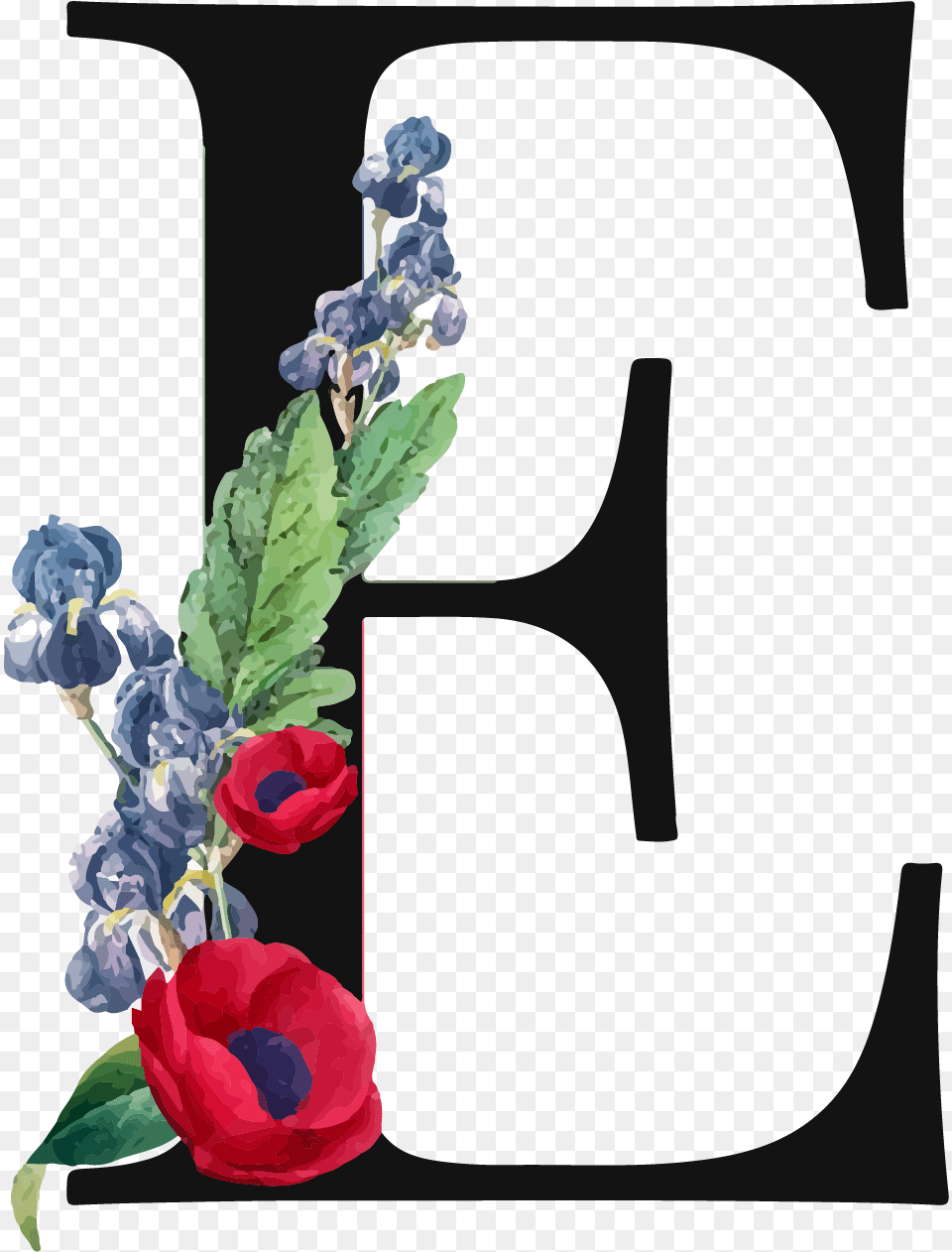 Letter E Royalty Free Pierre Joseph Redoute, Plant, Flower, Flower Arrangement, Petal Png Image