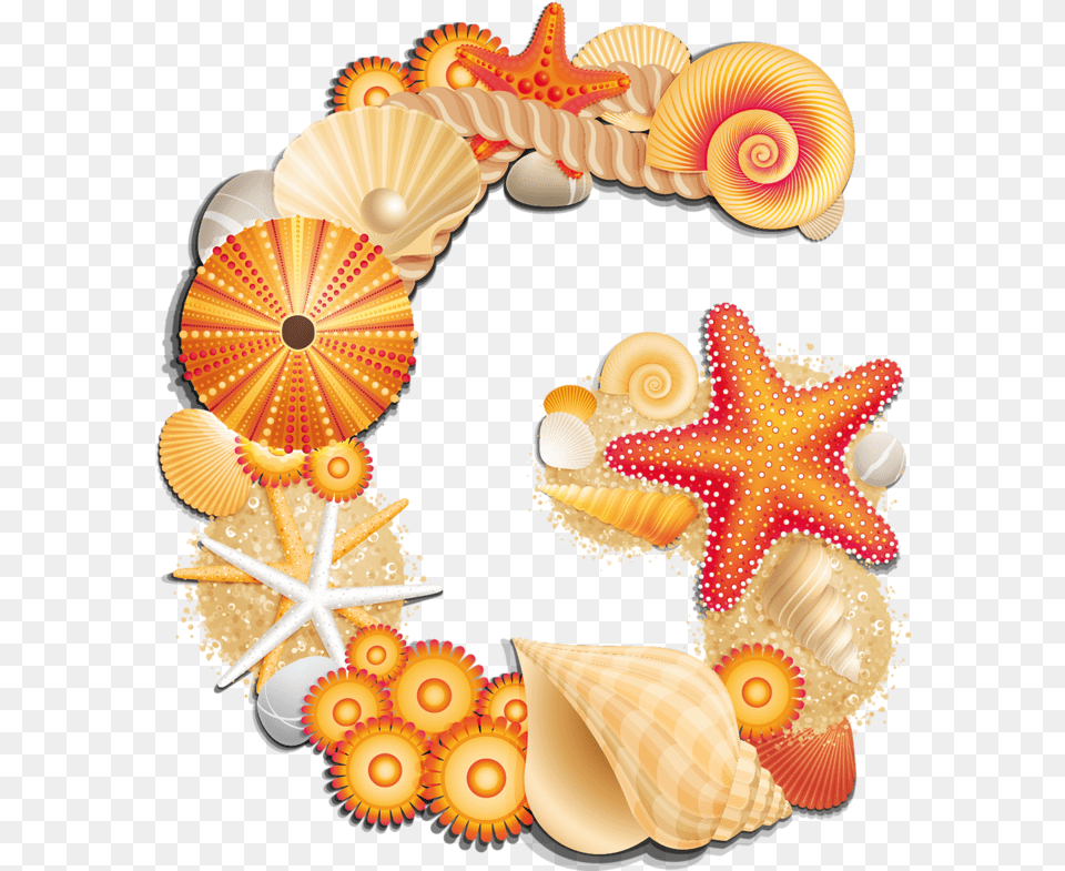 Letter G Abc By The Sheshore Seashell Clipart, Animal, Invertebrate, Sea Life, Clam Free Transparent Png
