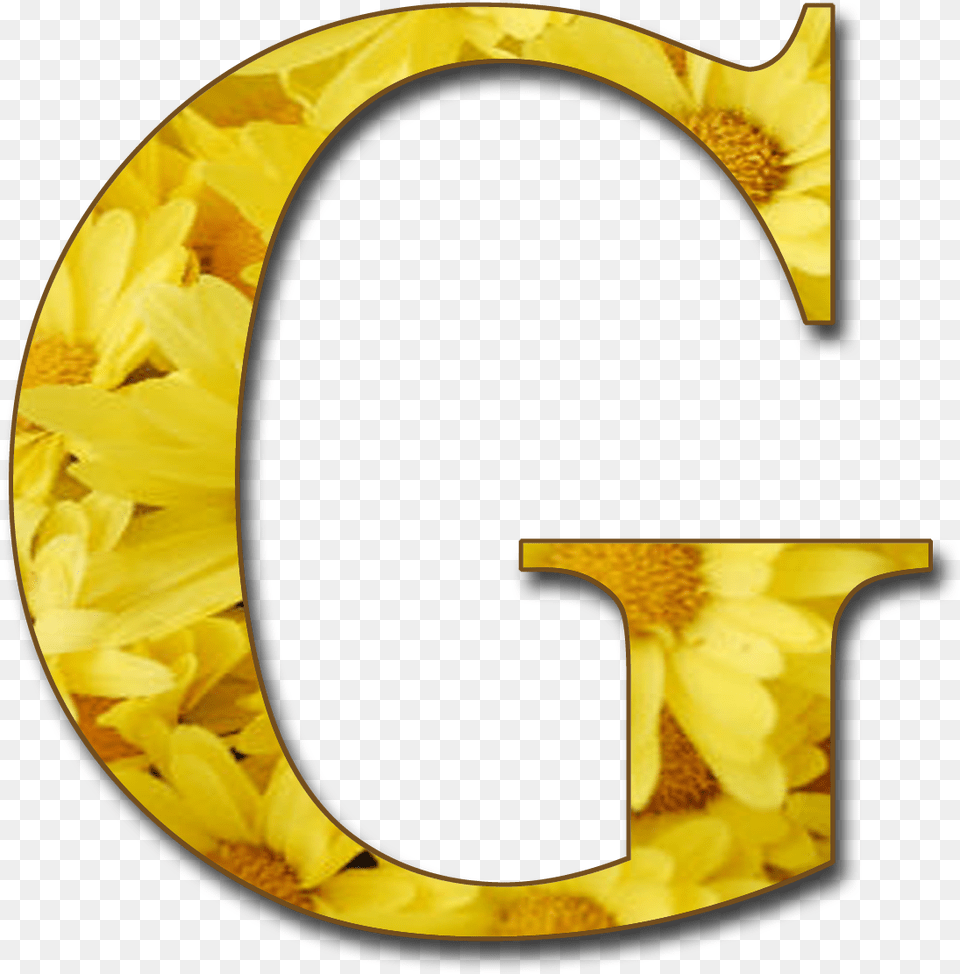 Letter G Gold Letter G, Number, Symbol, Text, Flower Png Image