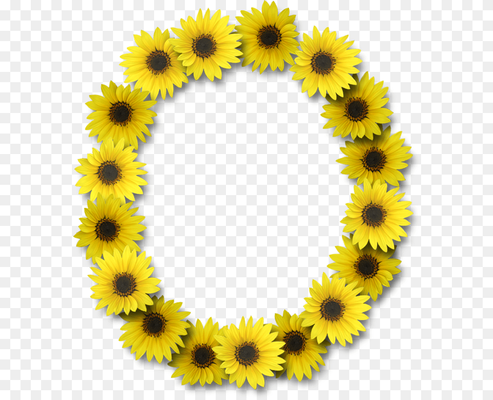 Letter G With Sunflower, Flower, Plant Png Image