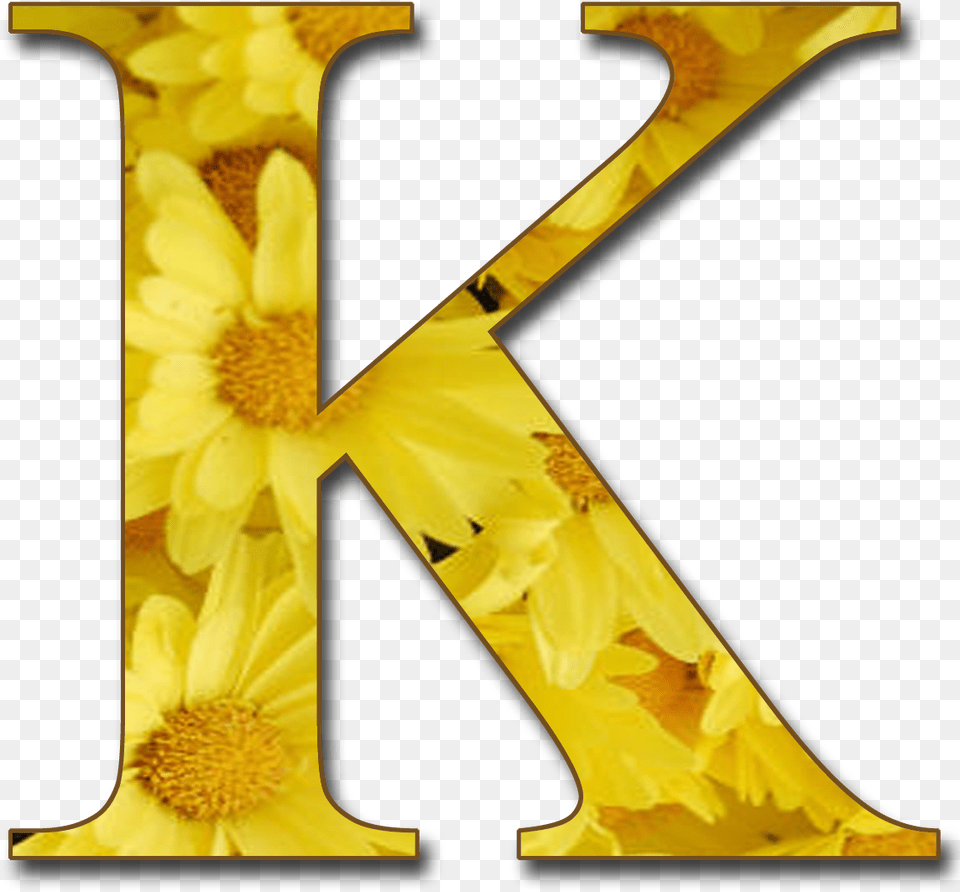 Letter K In Yellow, Daisy, Flower, Plant, Text Free Png Download