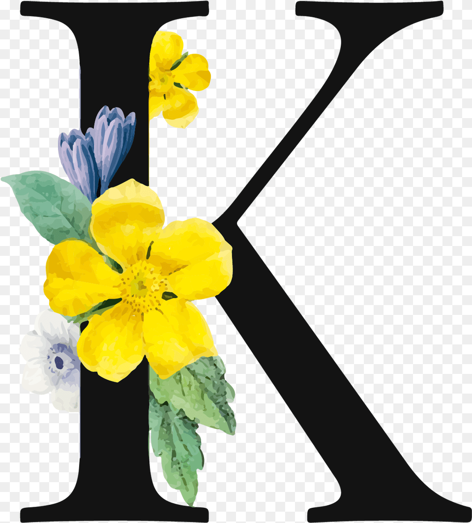 Letter K Royalty Image Letter K Flower, Anemone, Plant, Anther, Geranium Png