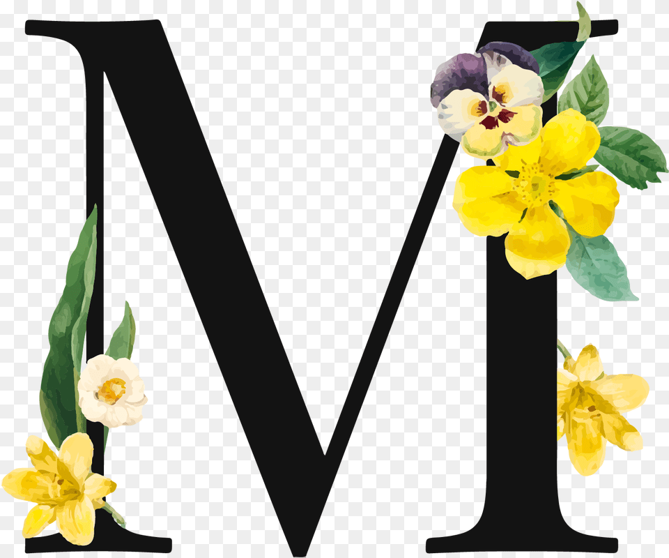 Letter M Royalty Yellow Flower Letter M, Petal, Plant, Daffodil Png