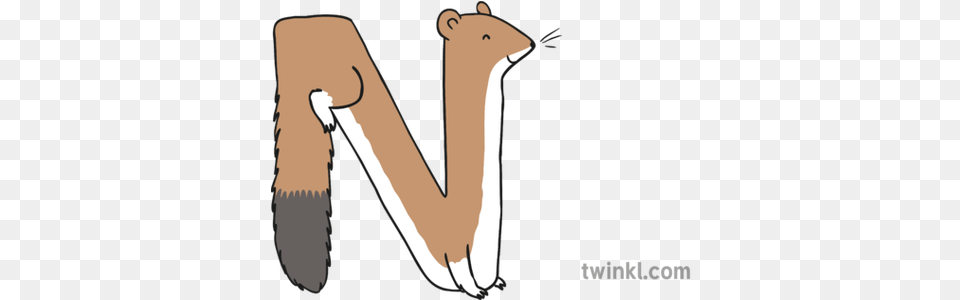 Letter N Weasel Romanian Alphabet Animals Copy Illustration Romanian Weasel, Animal, Mammal, Wildlife, Smoke Pipe Free Transparent Png