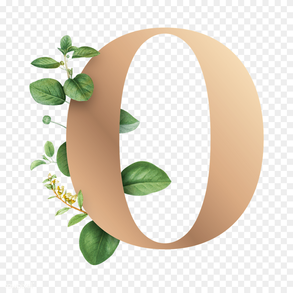 Letter O, Herbal, Herbs, Leaf, Potted Plant Free Png