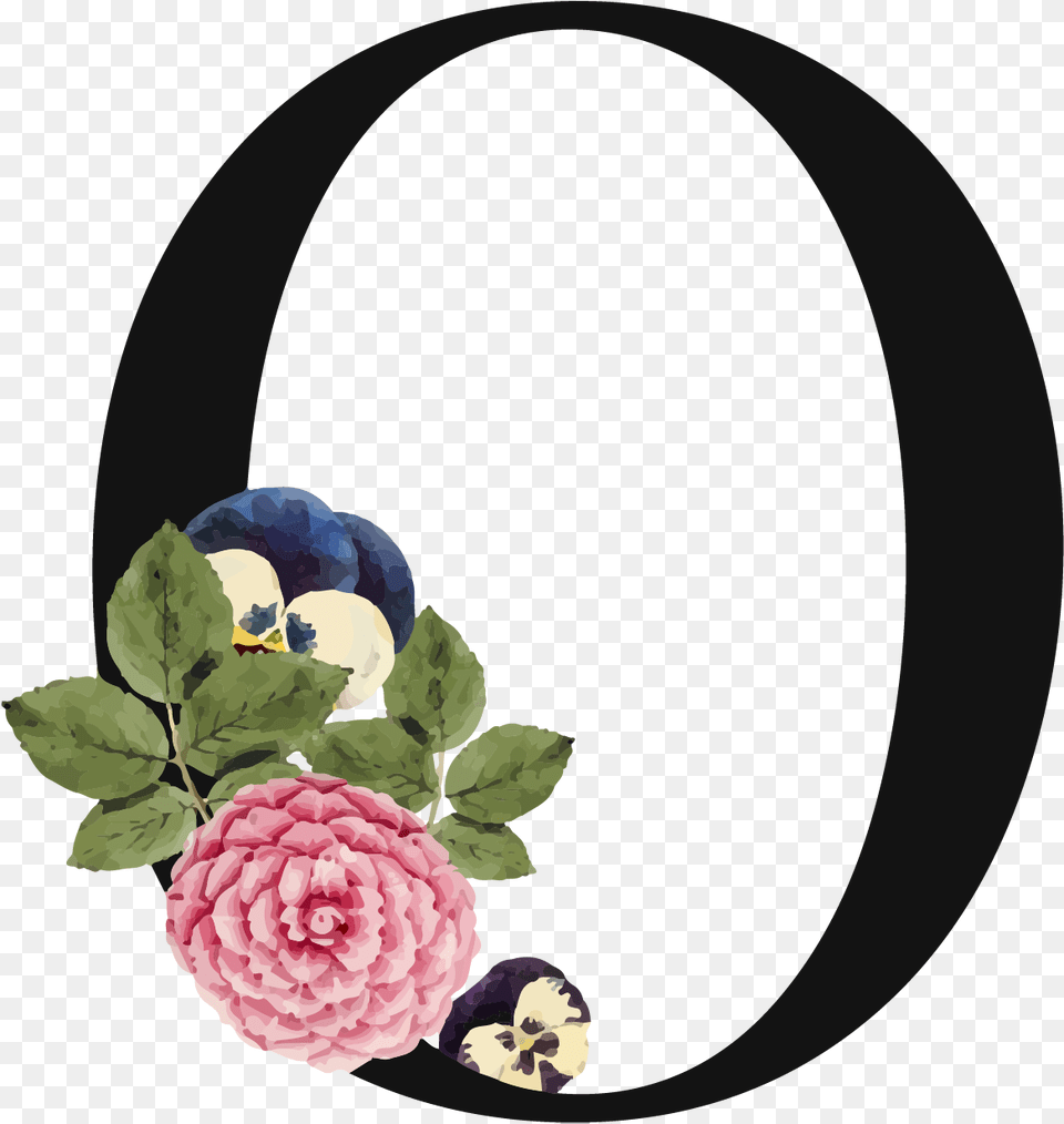 Letter O Commercial Use Images Letter O Background, Dahlia, Flower, Plant, Rose Free Transparent Png