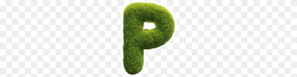 Letter P, Cushion, Home Decor, Moss, Plant Free Png Download