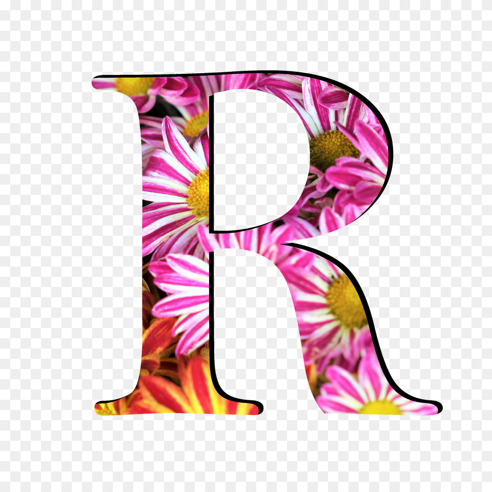 Letter R, Daisy, Flower, Number, Plant Free Transparent Png
