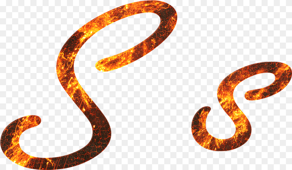 Letter S Fire Different Types Of Letter S, Animal, Reptile, Snake Png Image