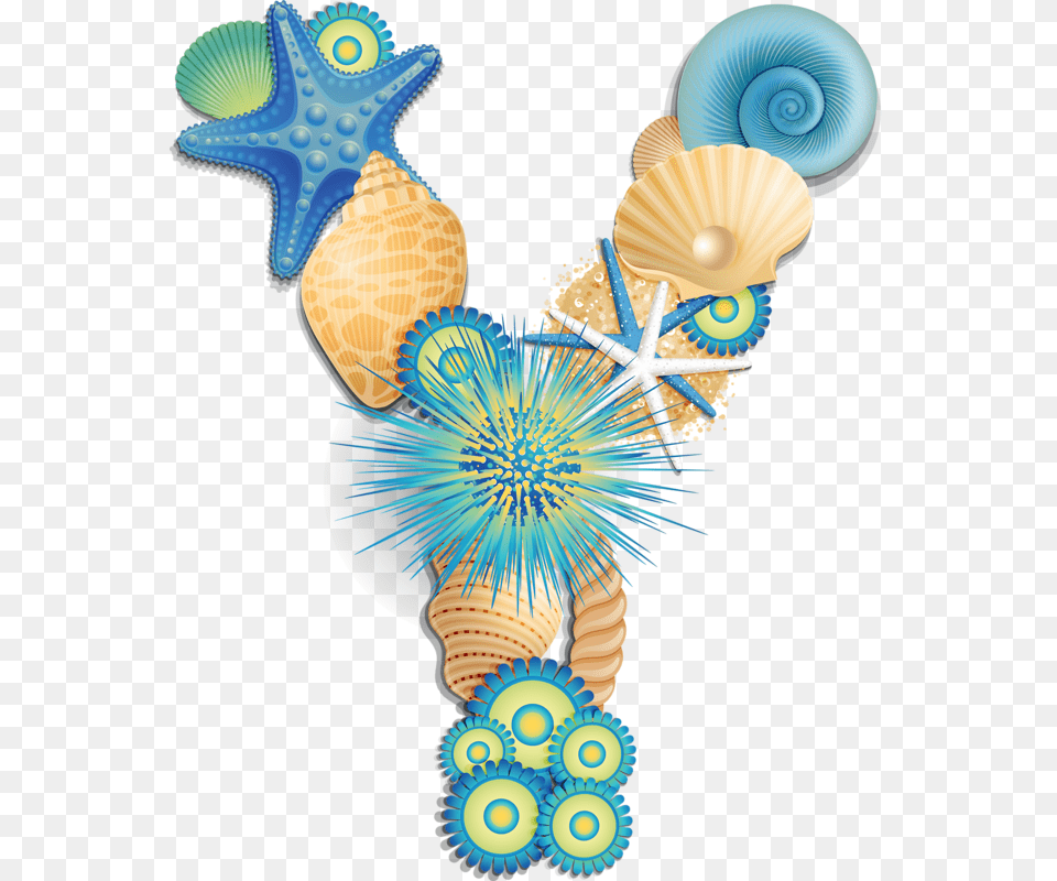 Letter Y With Shells, Animal, Invertebrate, Sea Life, Seashell Free Transparent Png