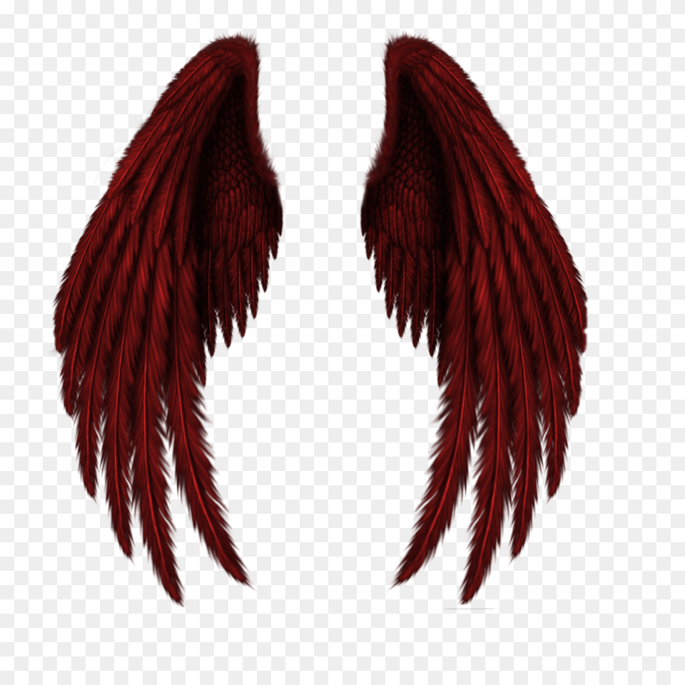 Letters Clipart Wing Transparent Free For Red Angel Wings, Animal, Bird, Electronics, Hardware Png