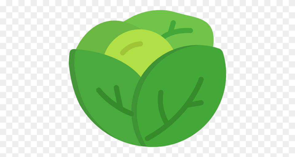 Lettuce, Green, Produce, Plant, Knife Png