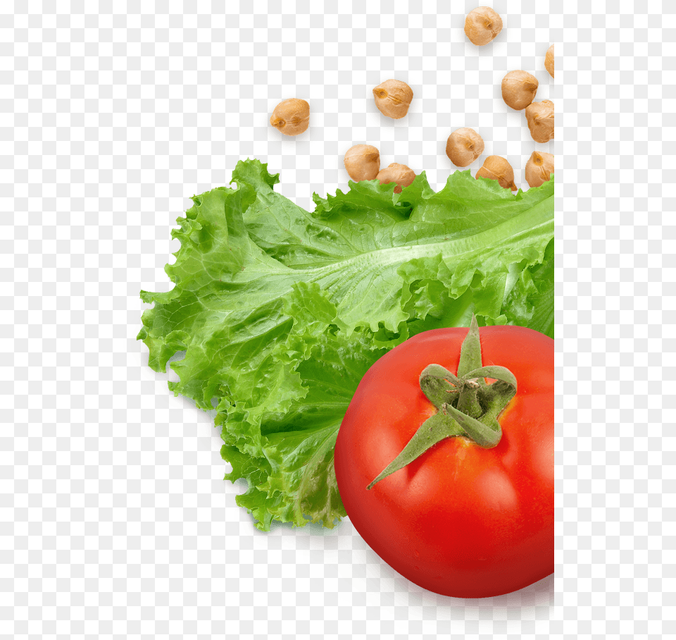 Lettuce And Tomatoes Lettuce And Tomato, Food, Plant, Produce, Vegetable Free Png Download