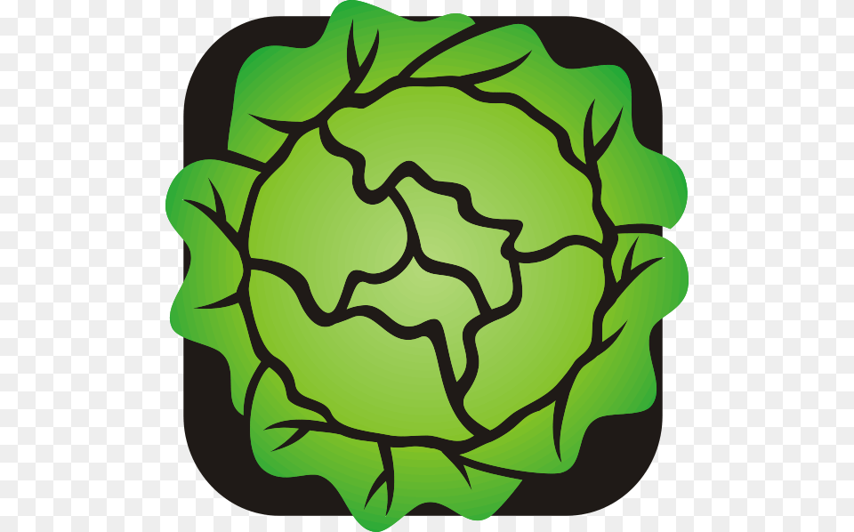 Lettuce Clip Art, Food, Produce, Leafy Green Vegetable, Plant Free Png
