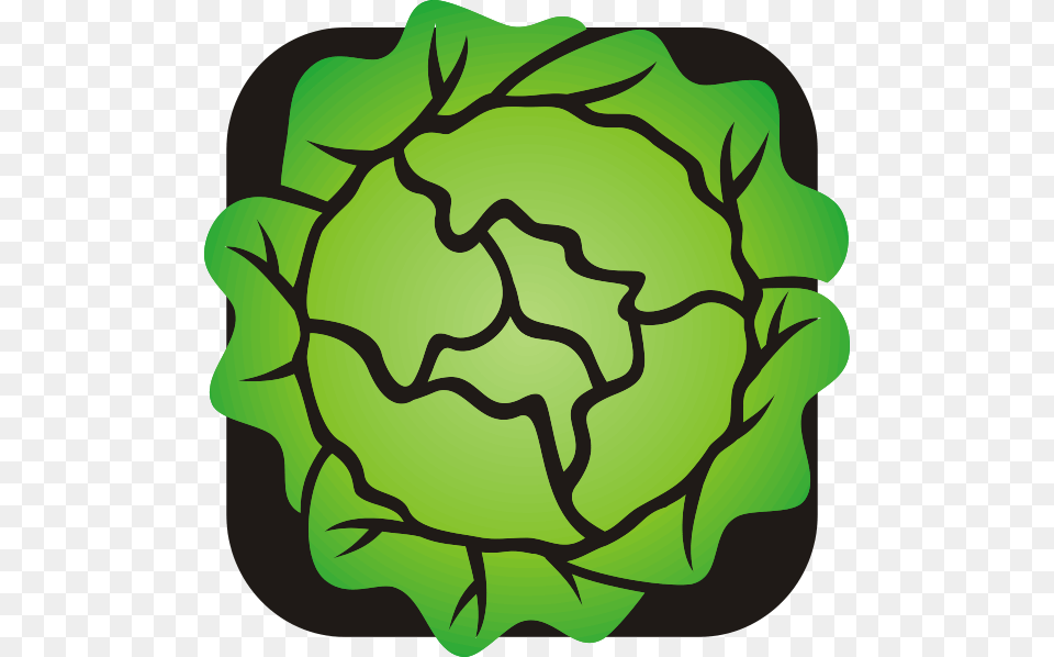 Lettuce Clip Art, Food, Produce, Leafy Green Vegetable, Plant Png Image