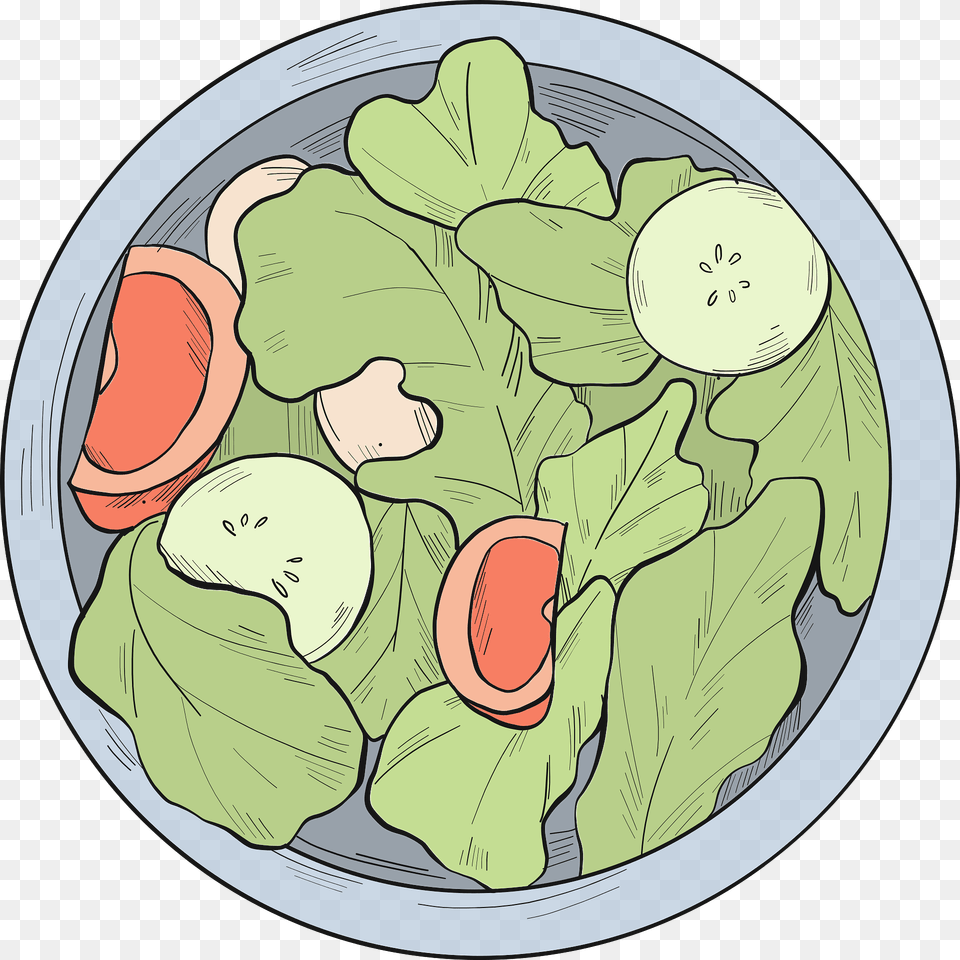 Lettuce Clipart, Food, Lunch, Meal, Food Presentation Free Png