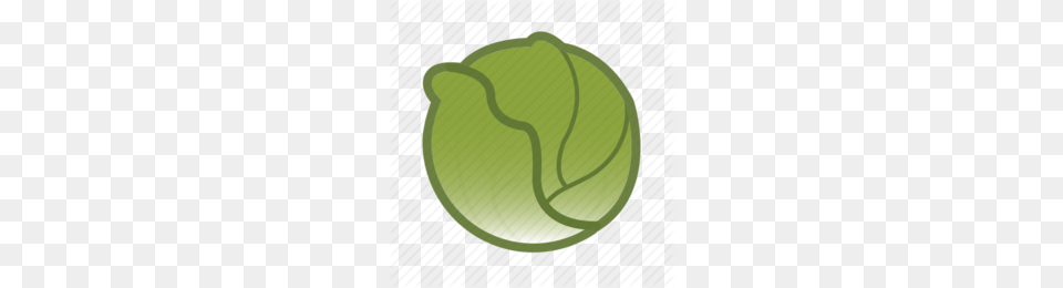 Lettuce Clipart, Food, Leafy Green Vegetable, Plant, Produce Free Png