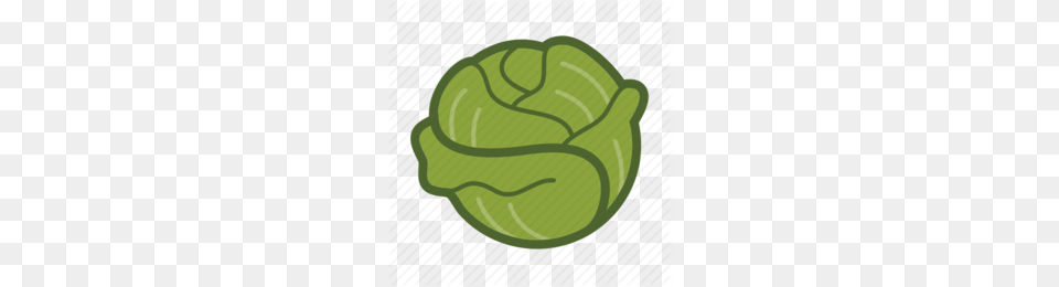 Lettuce Clipart, Food, Produce, Leafy Green Vegetable, Vegetable Png