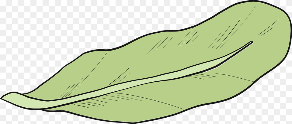 Lettuce Clipart, Leaf, Plant, Animal, Fish Png Image