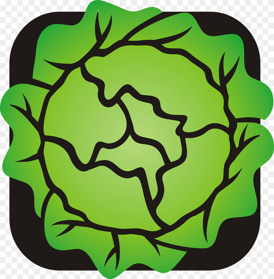 Lettuce Clipart, Food, Produce, Leafy Green Vegetable, Plant Free Png