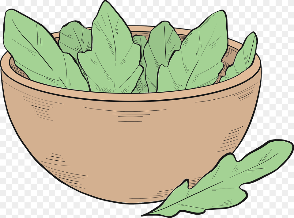 Lettuce Clipart, Leaf, Plant, Bowl, Produce Free Png