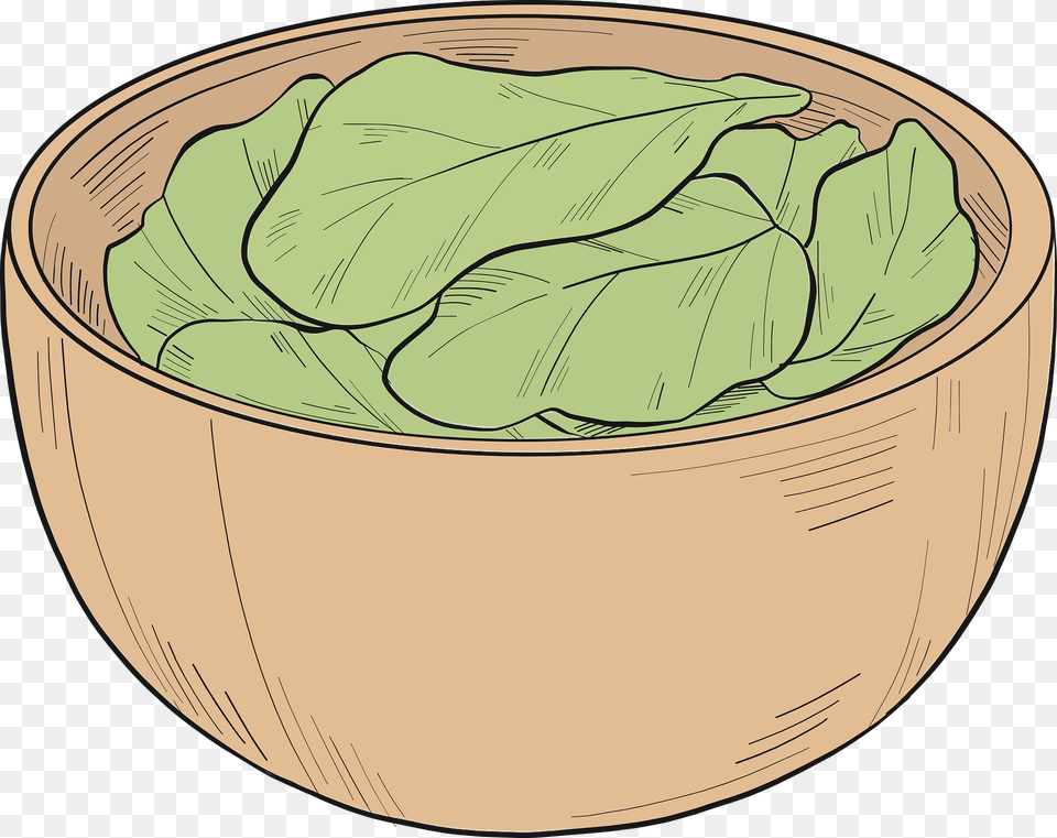 Lettuce Clipart, Leaf, Plant, Food, Produce Free Png Download