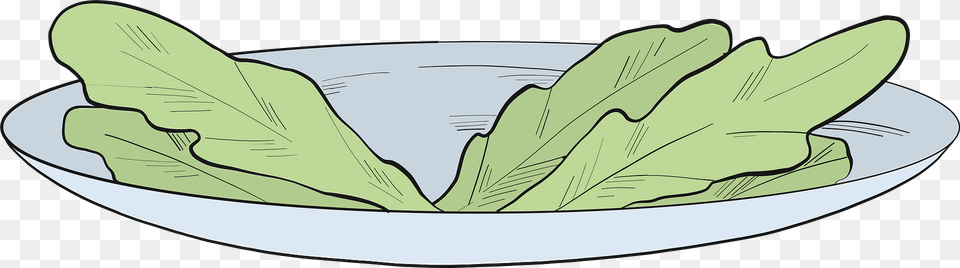 Lettuce Clipart, Leaf, Plant, Bowl, Food Free Png Download
