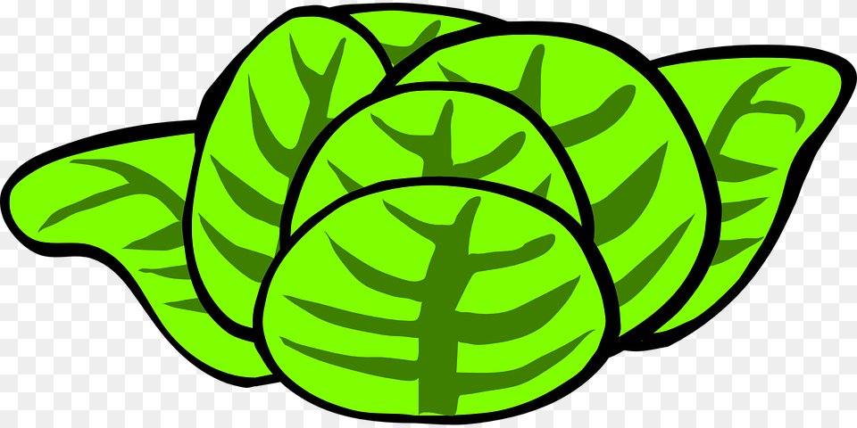 Lettuce Clipart Clip Art, Green, Leaf, Plant, Food Png Image