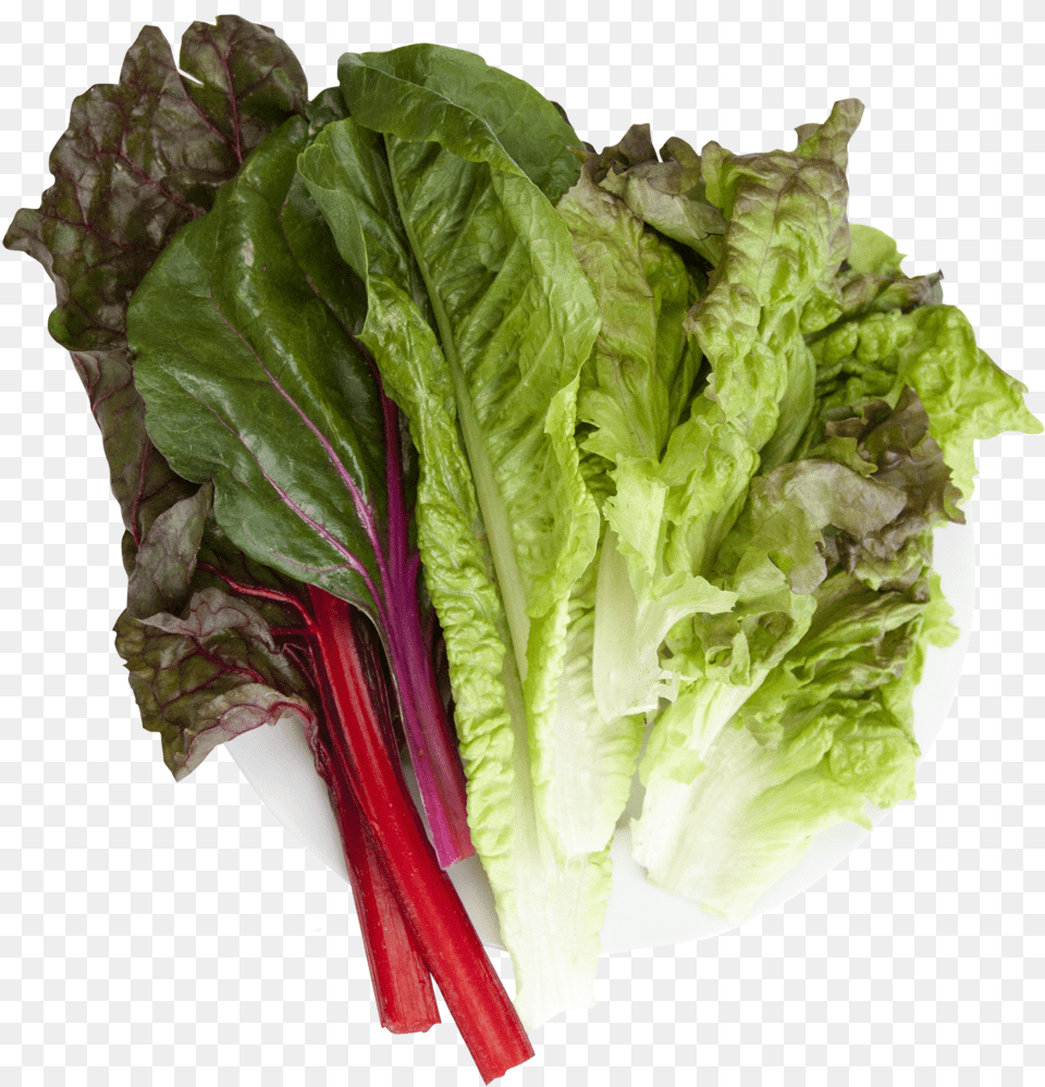 Lettuce Clipart Collard Greens Chard, Food, Produce, Plant, Vegetable Png