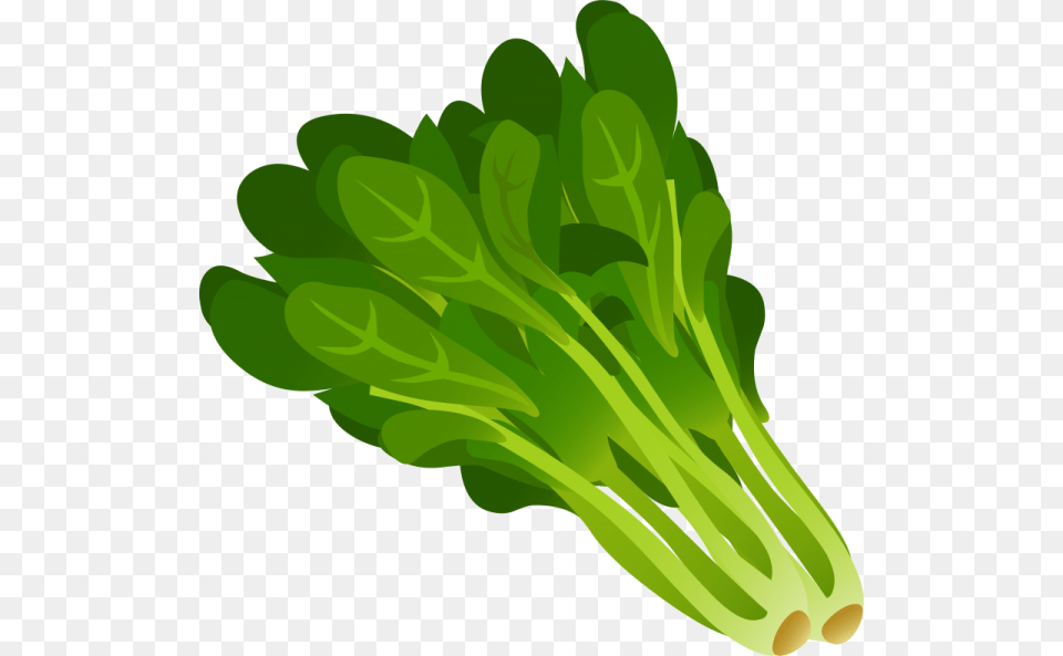 Lettuce Clipart Nice Clip Art, Food, Plant, Produce, Leafy Green Vegetable Free Transparent Png