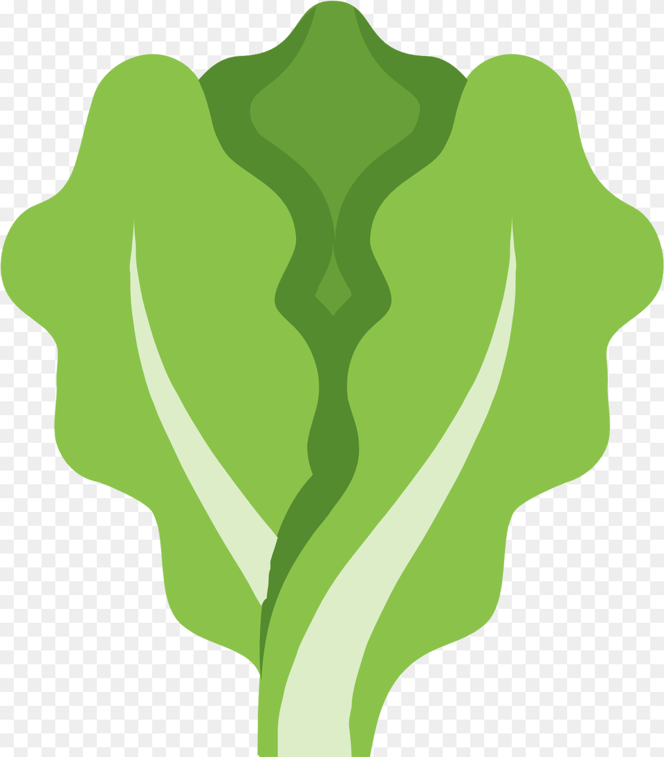 Lettuce Clipart Outline Lettuce Icon Lettuce Icon, Food, Produce, Green, Plant Free Transparent Png