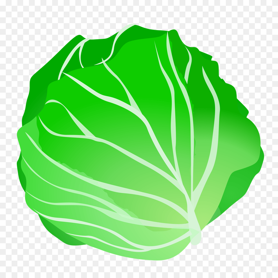 Lettuce Clipart Sauerkraut, Food, Leafy Green Vegetable, Plant, Produce Png
