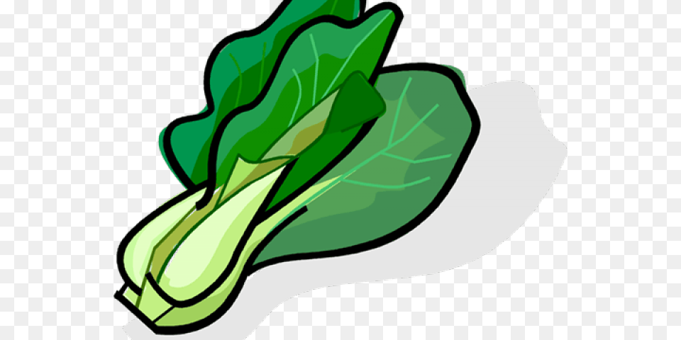 Lettuce Clipart Sawi, Food, Leafy Green Vegetable, Plant, Produce Png