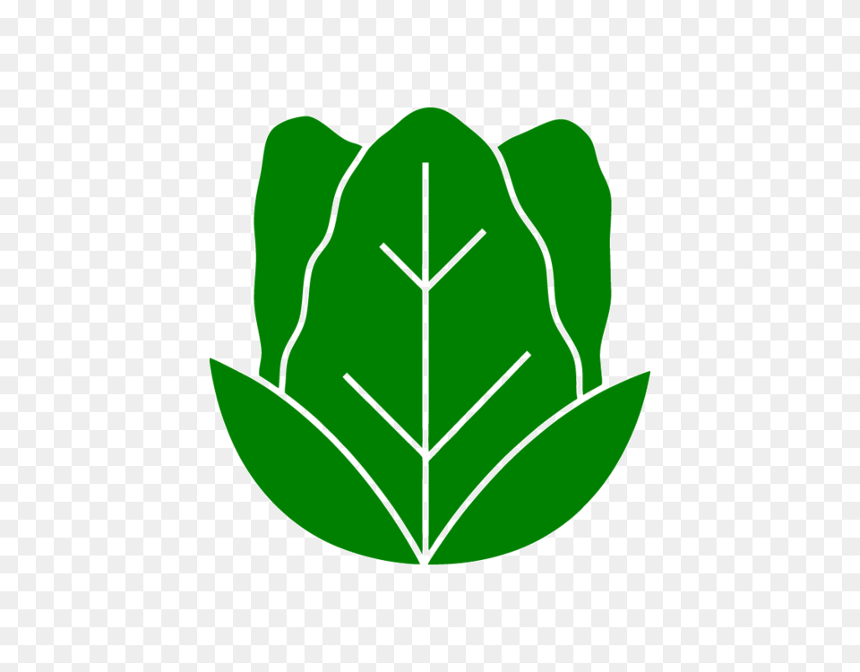 Lettuce Icons Easy To Download And Use, Leaf, Plant, Green Free Transparent Png