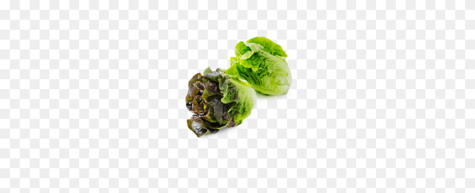 Lettuce Fresh Grown Year Round, Food, Plant, Produce, Vegetable Free Transparent Png