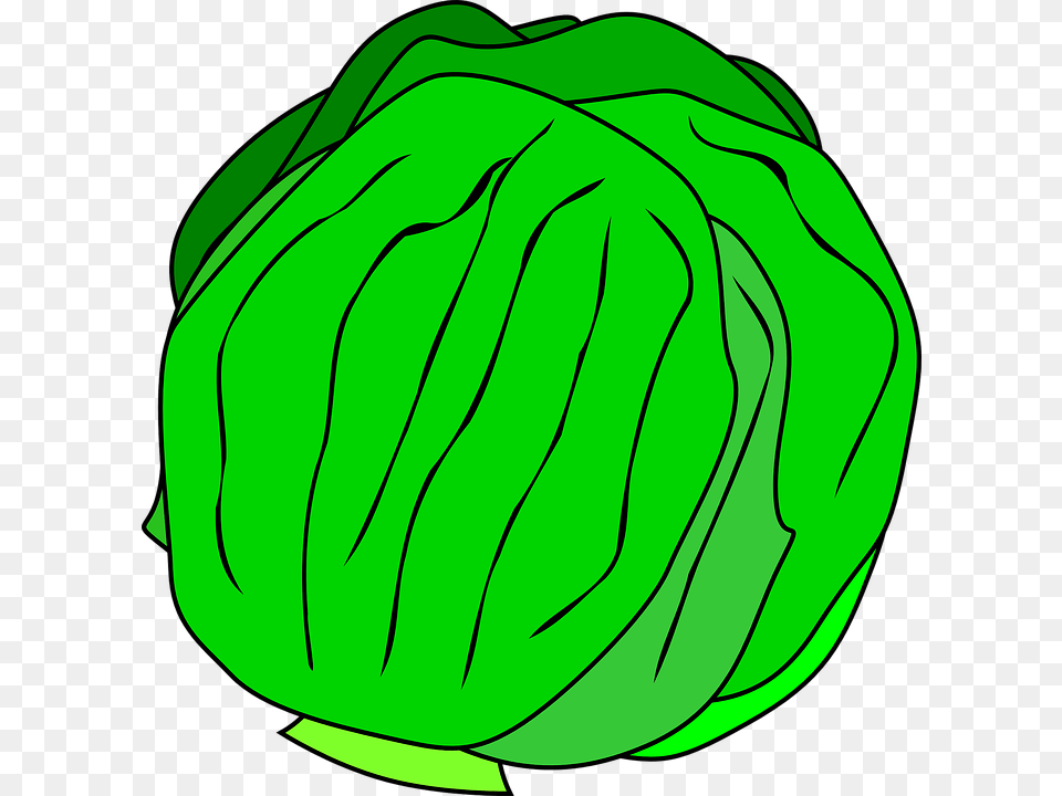 Lettuce Head Clipart Clip Art Images, Leafy Green Vegetable, Food, Vegetable, Produce Free Png