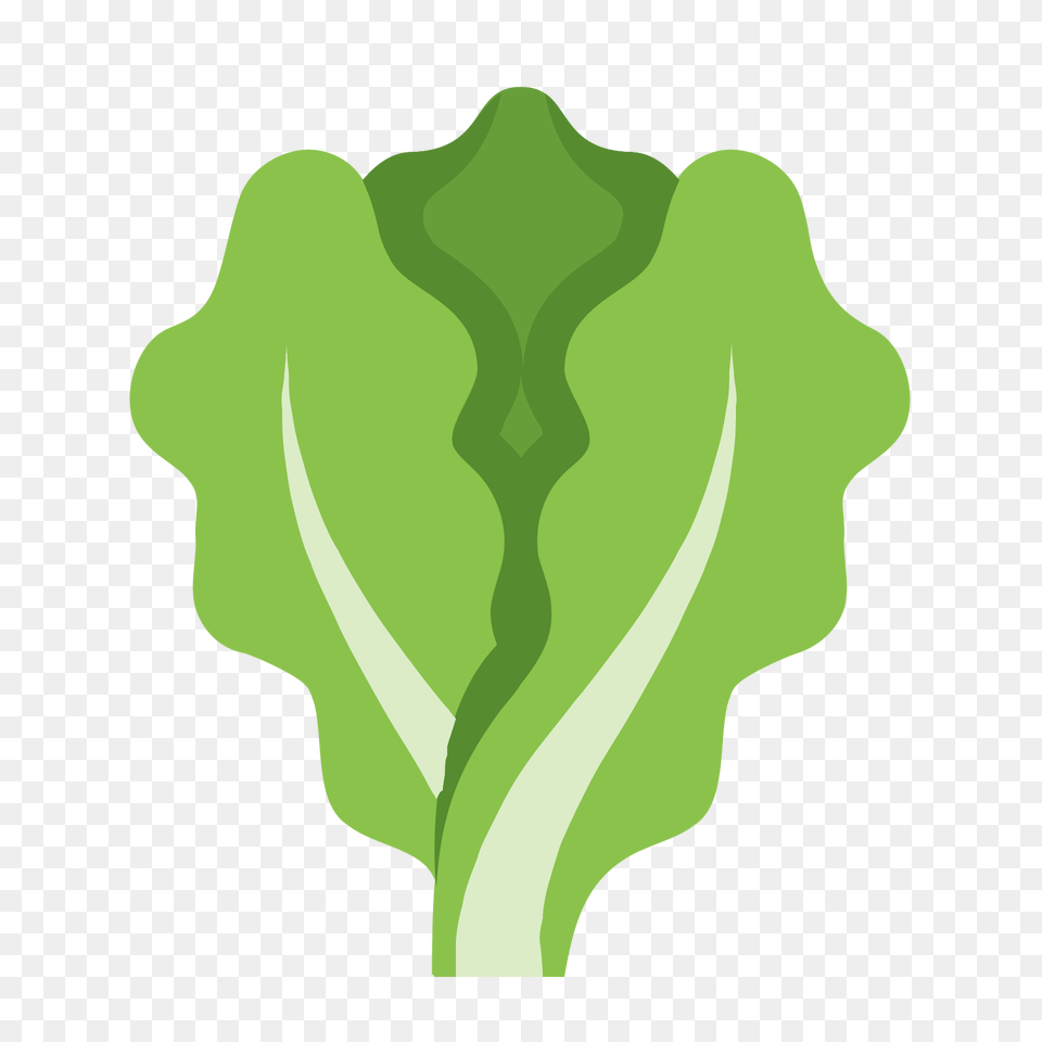 Lettuce Icon, Food, Produce, Plant, Vegetable Free Transparent Png