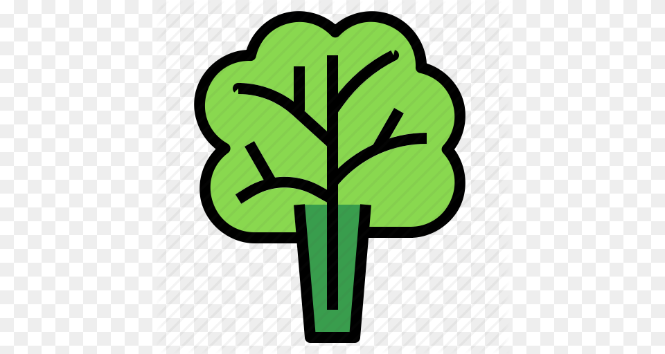 Lettuce Icon, Food, Leaf, Plant, Produce Png Image
