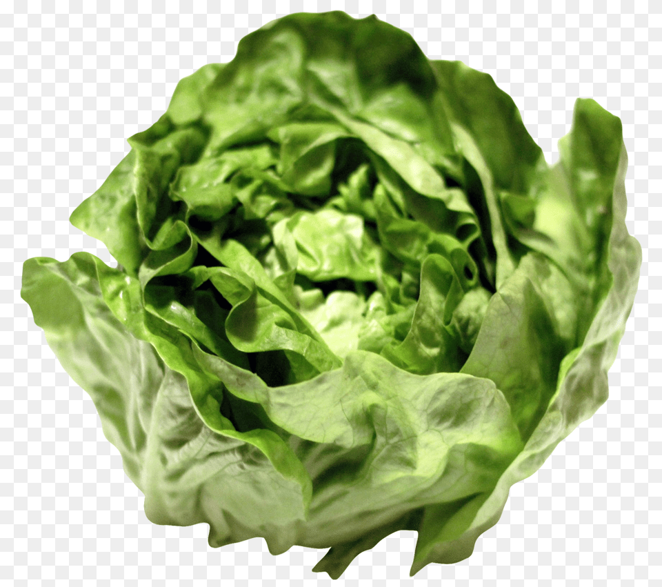 Lettuce Image, Food, Plant, Produce, Vegetable Png