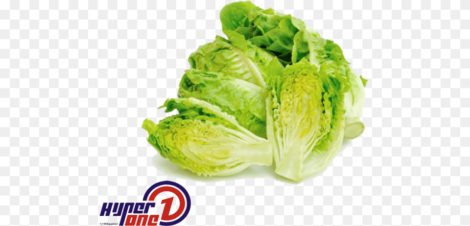 Lettuce Lettuce, Food, Plant, Produce, Vegetable Png Image