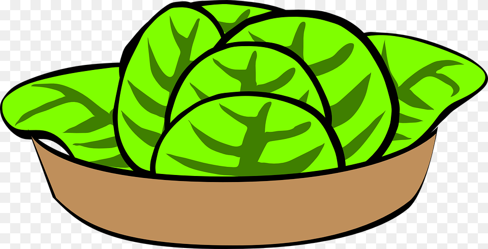 Lettuce Salad Clipart Explore Pictures, Food, Produce, Leafy Green Vegetable, Plant Free Png