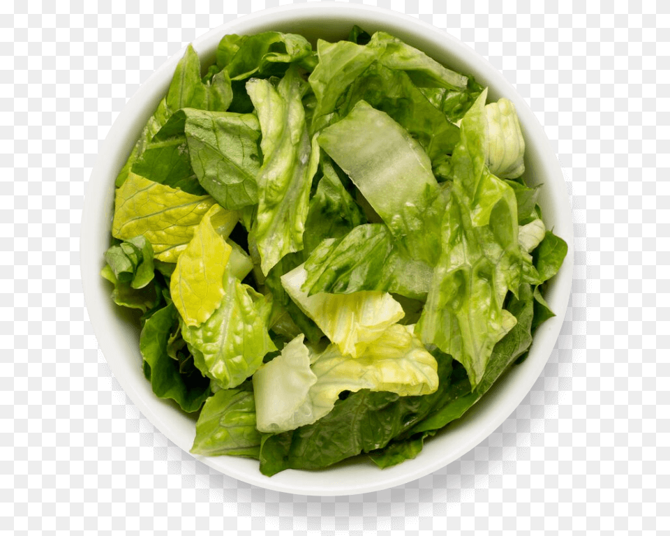 Lettuce Spinach, Food, Plant, Produce, Vegetable Free Png
