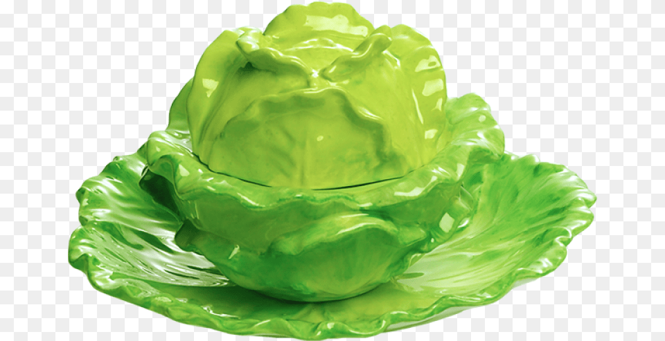 Lettuce Stand Small Iceburg Lettuce, Food, Produce, Leafy Green Vegetable, Plant Png Image