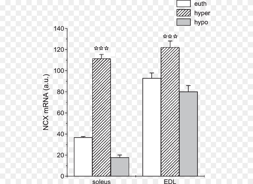 Levels Of Ncx Mrna In Euthyroid Rats White Columns Diagram, City, Bar Chart, Chart Free Png Download