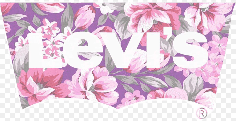 Levis Levis Levi Selfmade Logo Freetoedit Tulip, Home Decor, Cushion, Plant, Flower Png